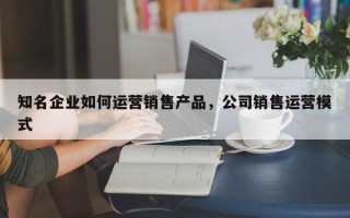 知名企业如何运营销售产品，公司销售运营模式