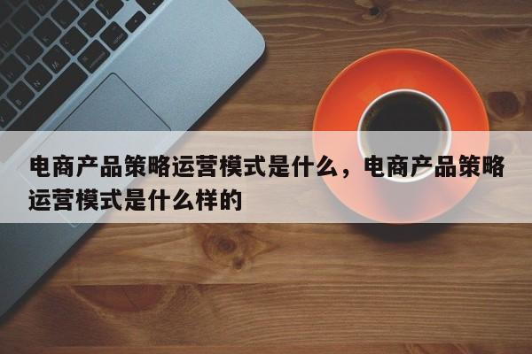 电商产品策略运营模式是什么，电商产品策略运营模式是什么样的-第1张图片-千儒阁