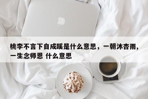 桃李不言下自成蹊是什么意思，一朝沐杏雨,一生念师恩 什么意思-第1张图片-千儒阁