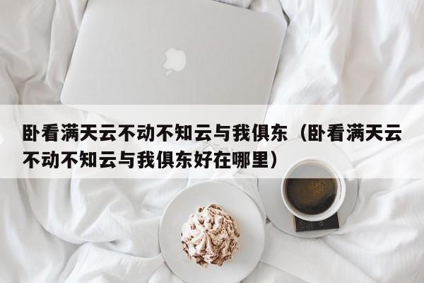 卧看满天云不动不知云与我俱东（卧看满天云不动不知云与我俱东好在哪里）-第1张图片-千儒阁