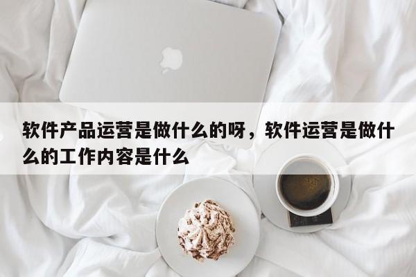 软件产品运营是做什么的呀，软件运营是做什么的工作内容是什么-第1张图片-千儒阁