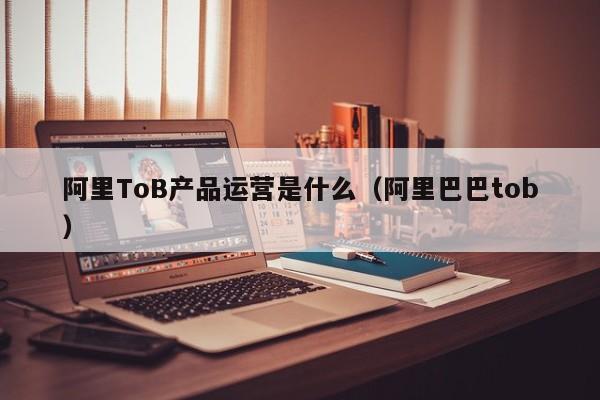 阿里ToB产品运营是什么（阿里巴巴tob）-第1张图片-千儒阁