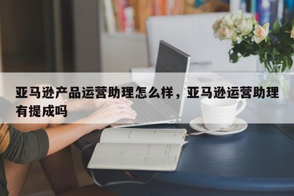 亚马逊产品运营助理怎么样，亚马逊运营助理有提成吗-第1张图片-千儒阁