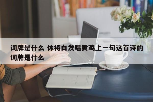 词牌是什么 休将白发唱黄鸡上一句这首诗的词牌是什么-第1张图片-千儒阁