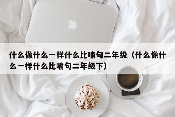 什么像什么一样什么比喻句二年级（什么像什么一样什么比喻句二年级下）-第1张图片-千儒阁