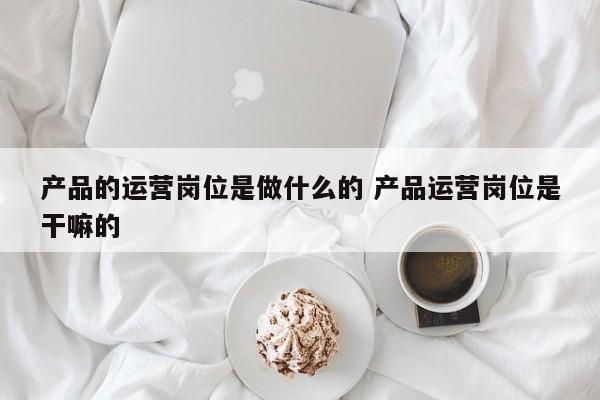 产品的运营岗位是做什么的 产品运营岗位是干嘛的-第1张图片-千儒阁