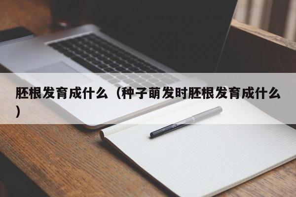 胚根发育成什么（种子萌发时胚根发育成什么）-第1张图片-千儒阁