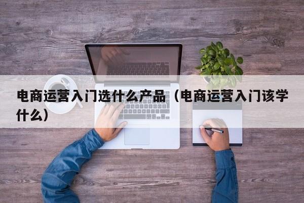 电商运营入门选什么产品（电商运营入门该学什么）-第1张图片-千儒阁