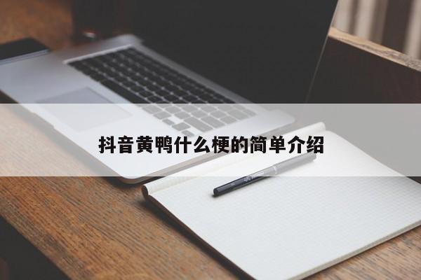 抖音黄鸭什么梗的简单介绍-第1张图片-千儒阁