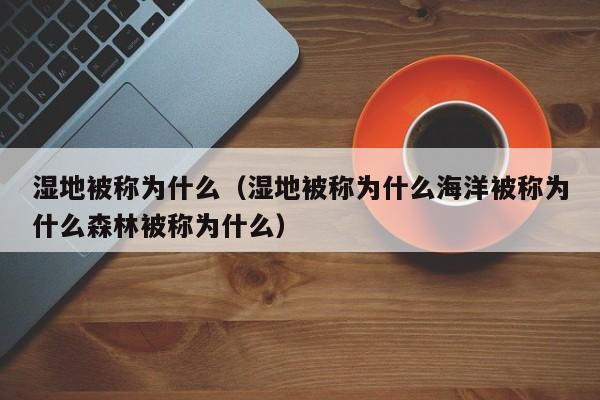 湿地被称为什么（湿地被称为什么海洋被称为什么森林被称为什么）-第1张图片-千儒阁