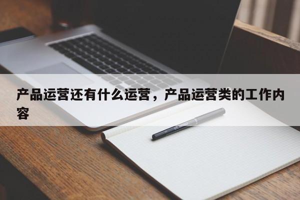 产品运营还有什么运营，产品运营类的工作内容-第1张图片-千儒阁