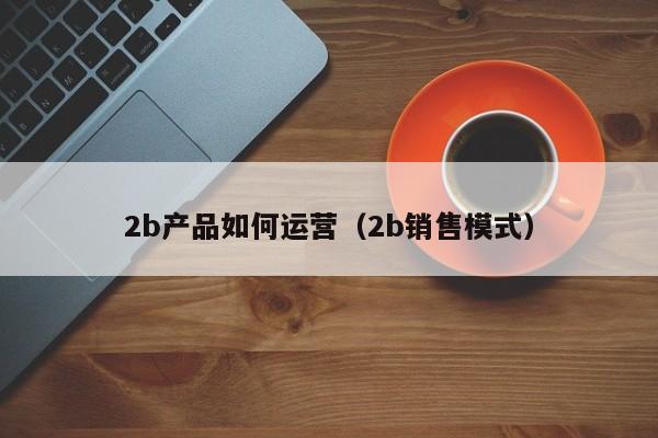 2b产品如何运营（2b销售模式）-第1张图片-千儒阁