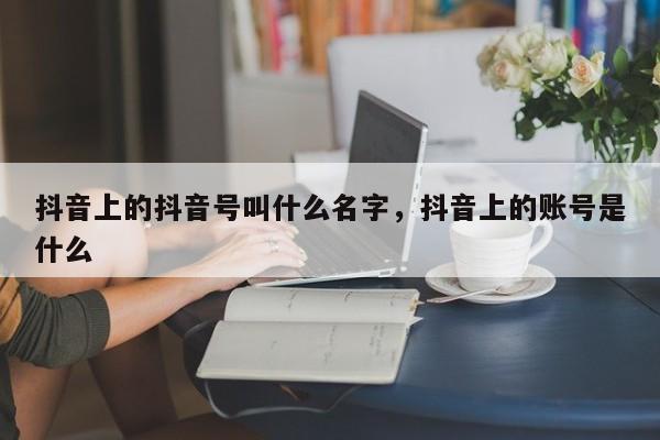 抖音上的抖音号叫什么名字，抖音上的账号是什么-第1张图片-千儒阁