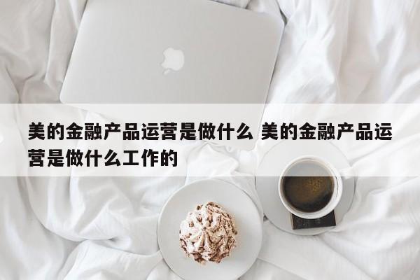 美的金融产品运营是做什么 美的金融产品运营是做什么工作的-第1张图片-千儒阁