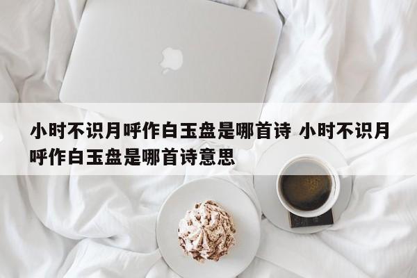 小时不识月呼作白玉盘是哪首诗 小时不识月呼作白玉盘是哪首诗意思-第1张图片-千儒阁