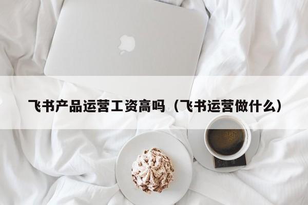 飞书产品运营工资高吗（飞书运营做什么）-第1张图片-千儒阁