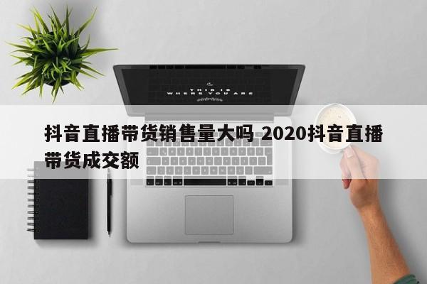 抖音直播带货销售量大吗 2020抖音直播带货成交额-第1张图片-千儒阁