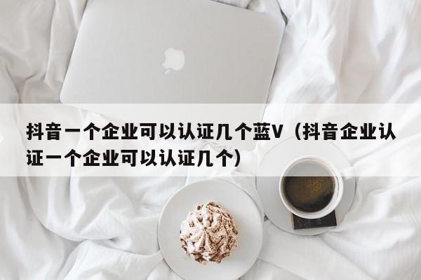 抖音一个企业可以认证几个蓝V（抖音企业认证一个企业可以认证几个）-第1张图片-千儒阁