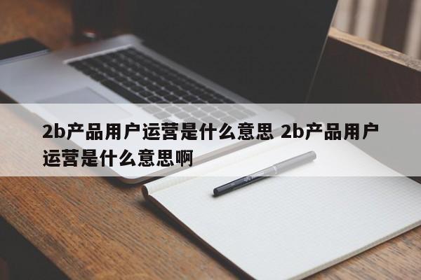 2b产品用户运营是什么意思 2b产品用户运营是什么意思啊-第1张图片-千儒阁