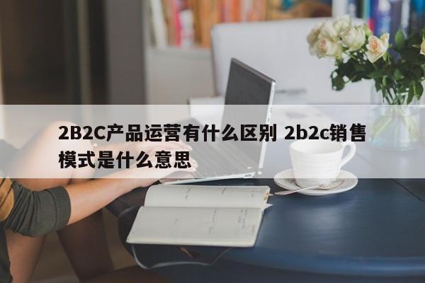 2B2C产品运营有什么区别 2b2c销售模式是什么意思-第1张图片-千儒阁