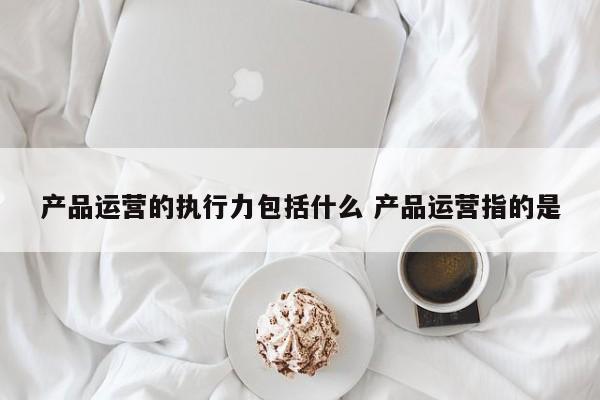 产品运营的执行力包括什么 产品运营指的是-第1张图片-千儒阁