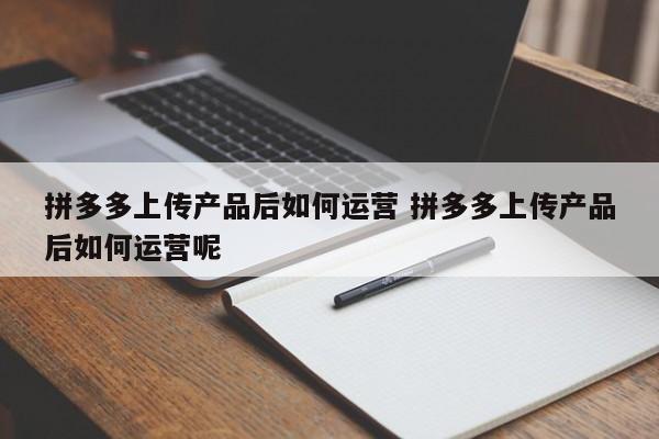 拼多多上传产品后如何运营 拼多多上传产品后如何运营呢-第1张图片-千儒阁