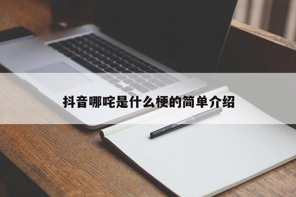 抖音哪咤是什么梗的简单介绍-第1张图片-千儒阁