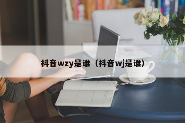 抖音wzy是谁（抖音wj是谁）-第1张图片-千儒阁