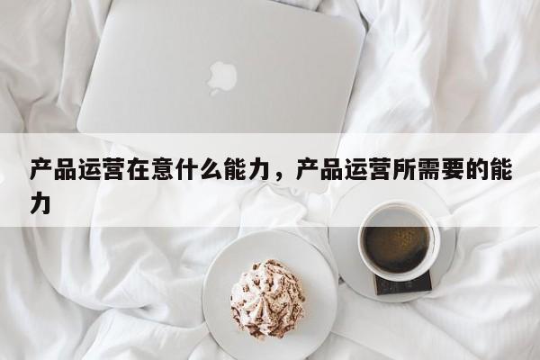 产品运营在意什么能力，产品运营所需要的能力-第1张图片-千儒阁