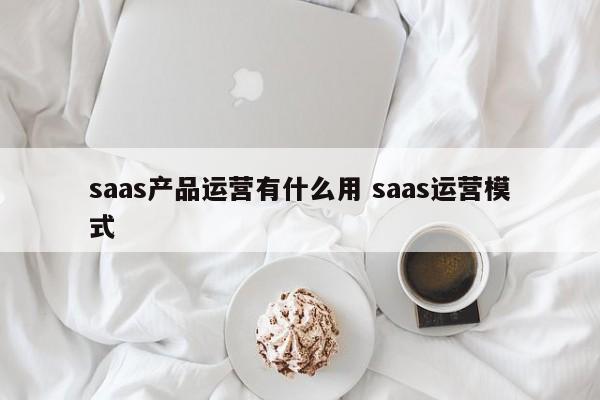 saas产品运营有什么用 saas运营模式-第1张图片-千儒阁