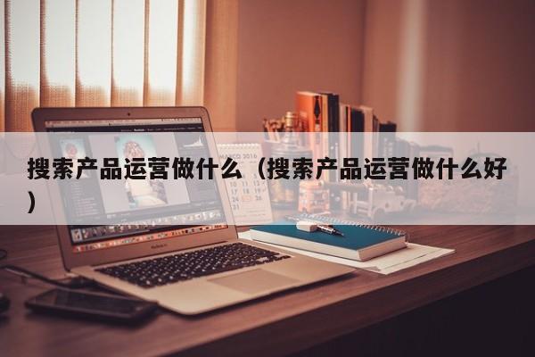 搜索产品运营做什么（搜索产品运营做什么好）-第1张图片-千儒阁