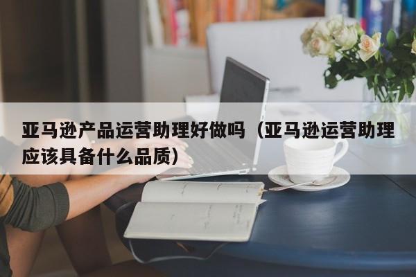 亚马逊产品运营助理好做吗（亚马逊运营助理应该具备什么品质）-第1张图片-千儒阁