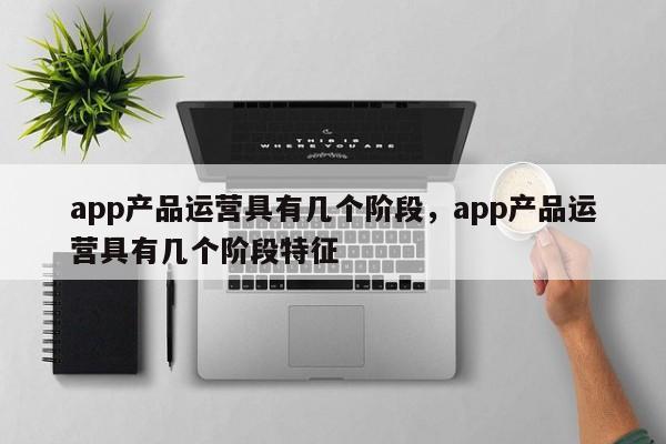 app产品运营具有几个阶段，app产品运营具有几个阶段特征-第1张图片-千儒阁