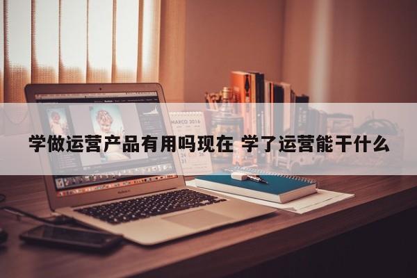 学做运营产品有用吗现在 学了运营能干什么-第1张图片-千儒阁