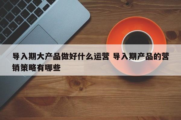 导入期大产品做好什么运营 导入期产品的营销策略有哪些-第1张图片-千儒阁