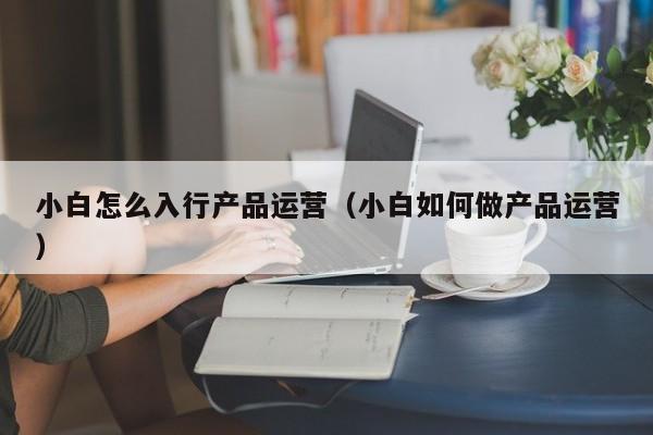 小白怎么入行产品运营（小白如何做产品运营）-第1张图片-千儒阁