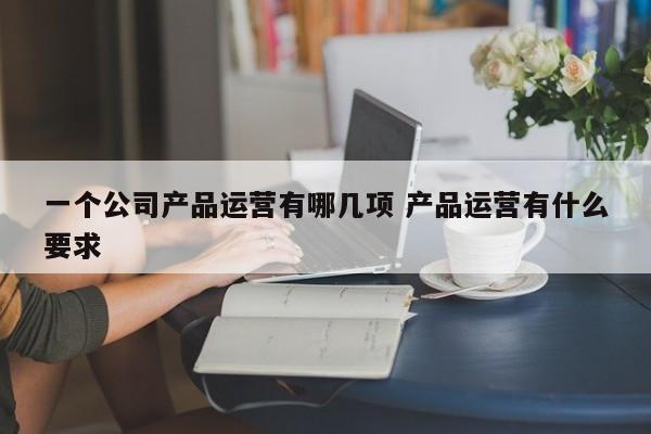 一个公司产品运营有哪几项 产品运营有什么要求-第1张图片-千儒阁