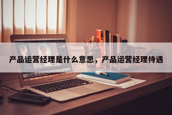 产品运营经理是什么意思，产品运营经理待遇-第1张图片-千儒阁