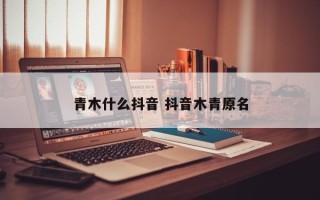 青木什么抖音 抖音木青原名