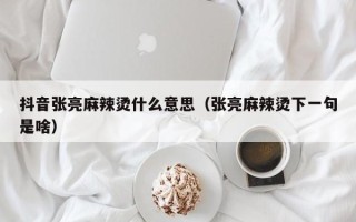 抖音张亮麻辣烫什么意思（张亮麻辣烫下一句是啥）