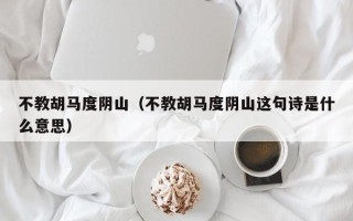 不教胡马度阴山（不教胡马度阴山这句诗是什么意思）