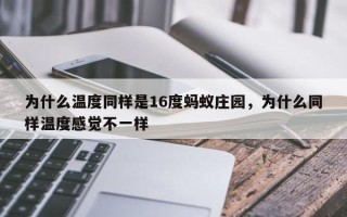 为什么温度同样是16度蚂蚁庄园，为什么同样温度感觉不一样