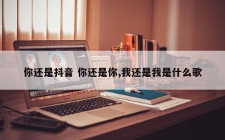 你还是抖音 你还是你,我还是我是什么歌