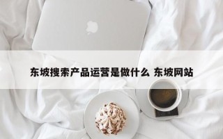 东坡搜索产品运营是做什么 东坡网站