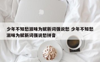 少年不知愁滋味为赋新词强说愁 少年不知愁滋味为赋新词强说愁拼音