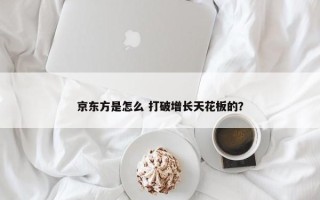 京东方是怎么 打破增长天花板的？