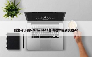 博主称小鹏MONA M03自动泊车撞到奥迪A8