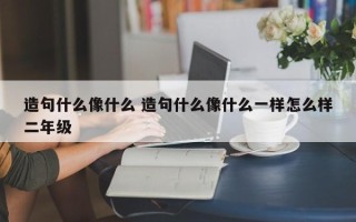 造句什么像什么 造句什么像什么一样怎么样二年级