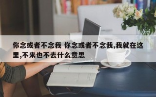 你念或者不念我 你念或者不念我,我就在这里,不来也不去什么意思