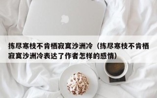 拣尽寒枝不肯栖寂寞沙洲冷（拣尽寒枝不肯栖寂寞沙洲冷表达了作者怎样的感情）